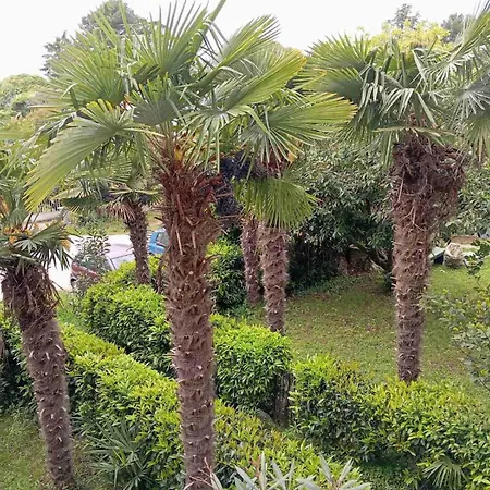 Apartman Maja Poreč Exterior foto